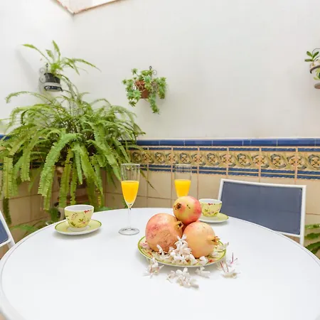 El Carmen Con Patio Y Parking Malaga
